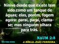 videos de Naum - Capítulo 2