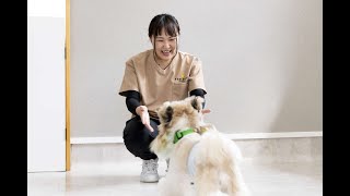 夢を叶えた卒業生