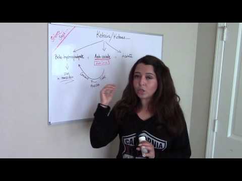how to become keto adapted