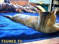 ぺったんこララちゃんとツネオ君♪