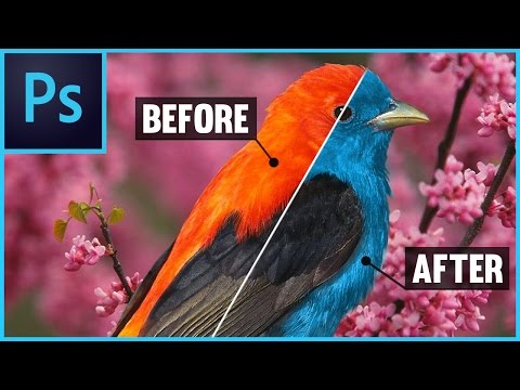 video-linktoworks-Photoshop CS6/CC: How To Change Color of an Object - With ...