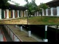 Ver Video