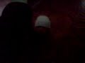 MOV00263