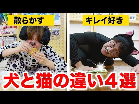 動画