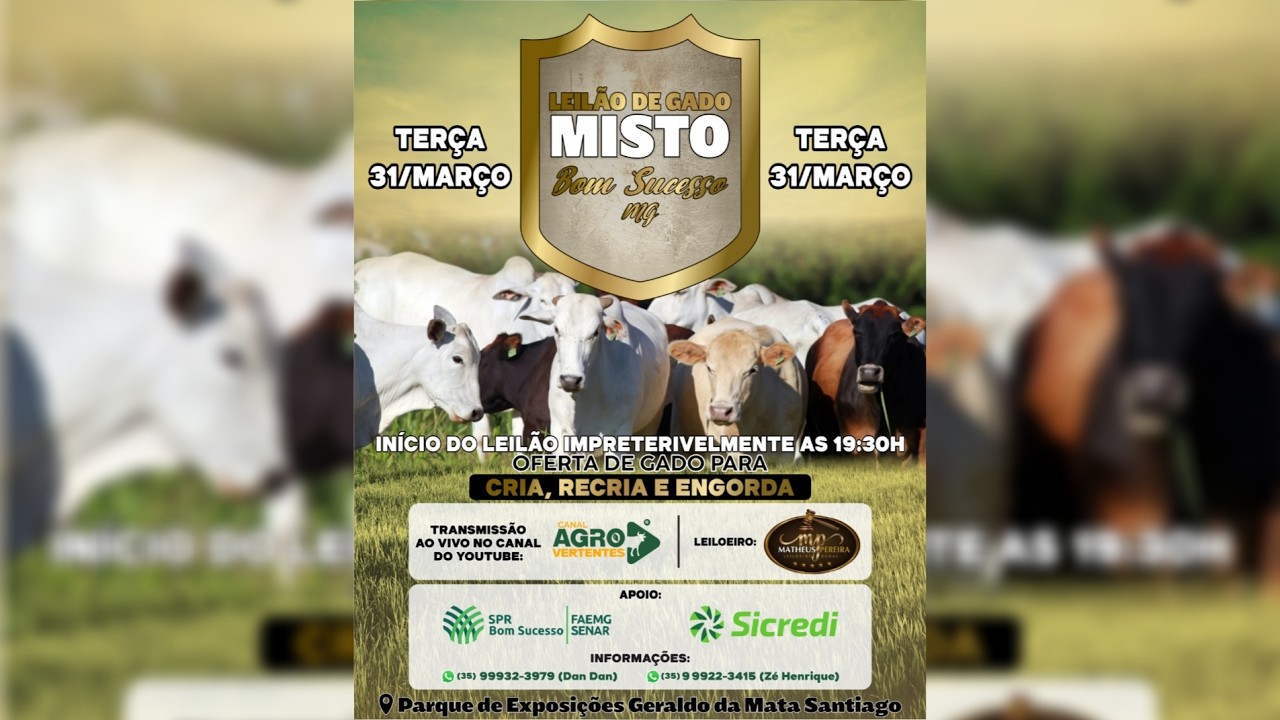 LEILÃO MISTO SINDICATO RURAL DE BOM SUCESSO E IBITURUNA/MG - 31/03/2025