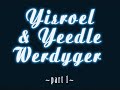 Yisroel &amp; Yeedle Werdyger at Kumzits on the Hudson 2