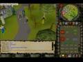 Numa-Numa-runescape