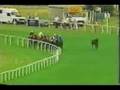1994年キングジョージⅥ世&クイーンエリザベスダイヤモンドステークス - キングズシアター
