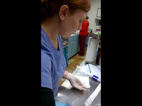 how to draw urine from catheter