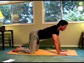 Hatha Yoga Poses and Instruction : Cat Cow Cycles in Hatha Yoga