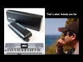 That's what friends are for (Harmonica)