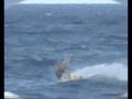 videos de borja.wmv