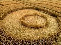 Explaining Crop Circles: Dr. Simeon Hein Pt.5