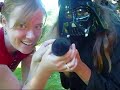 darth vader vs super harry potter: the epic battle