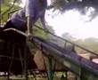 Balsahan get away - part 2