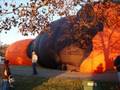 Hot Air Balloon Festival