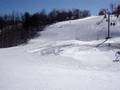 The Wandering Ski 