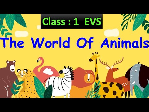 The World Of Animals | Class: 1 EVS | Types Of Animals | CBSE / CAIE | Animals Around Us – Orchids eLearning The World Of Animals | Class: 1 EVS | Types Of Animals | CBSE / CAIE | Animals Around Us – Orchids eLearning