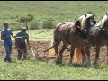 Plowing a field by hand (9/10/05)