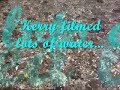 Water - viel Wasser