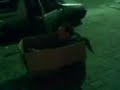 Dieguinho Grau na Caxa Dieguinho Grau na Caxa