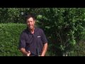 Golf Tips : Golf Tips for Hitting Irons With No Offset