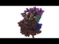 Linear versus Affine Extrapolation of a Molecule