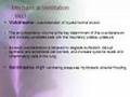 Acute Respiratory Distress Syndrome