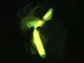 GeminiZ Lightshow GeminiZ Lightshow