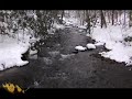 Delaware Water Gap Rec. Area - Van Campen Glen & Brook