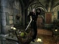 Oblivion New Animations