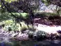 Noe Jumping The Rio Grande
