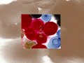 [ϻƻ�ز������ꥸ�ʥ륵����ɥȥ�å���]��¼�����¼�ߺ� ��鿷������� ��ϻƻ�ز������ꥸ�ʥ륵����ɥȥ�å����ײ� �ڡ�������� / ����������