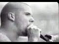 Pantera