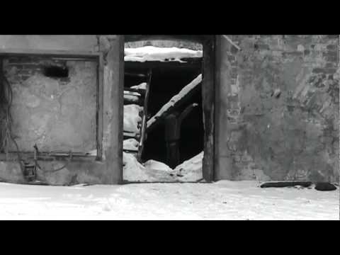 Video Colektiw - MD Promo