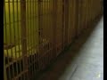alcatraz