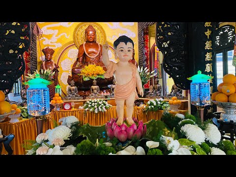 Tinh Hoa NIKAYA - Lợi Ích Của Giới