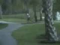 videos de Walk 9/7/08 - Part 2