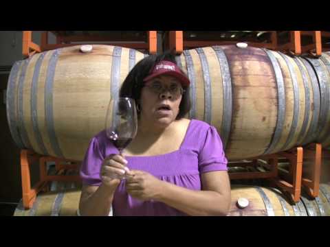 Mystery Wine Revealed! Tasting at Hug Cellars - Pt. 3