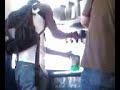Guy Stealing Hi-C from White Castle