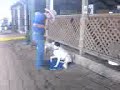 doggie style