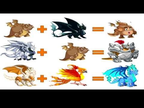 how to breed dragon city
