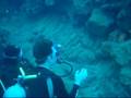 SCUBA Diving Hawaii
