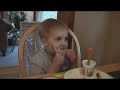 inappropriate dinner conversation