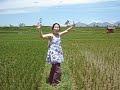 running through ricefield running through ricefield