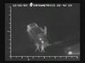 York Regional Police Chase