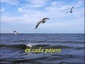 yo te recuerdo-roberto carlos