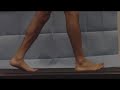The Gait Cycle: A Breakdown of each Component