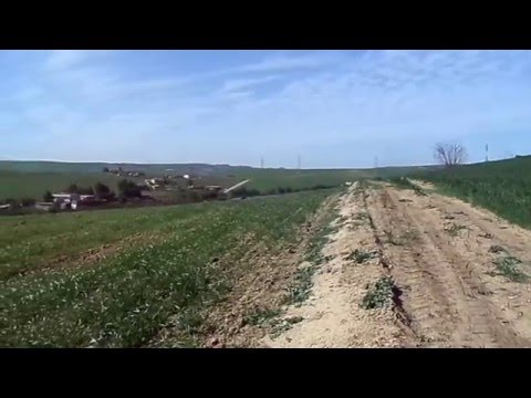 Image de prévisualisation YouTube