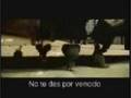 MOBY  In this World - In This World - Moby - Flixster Video